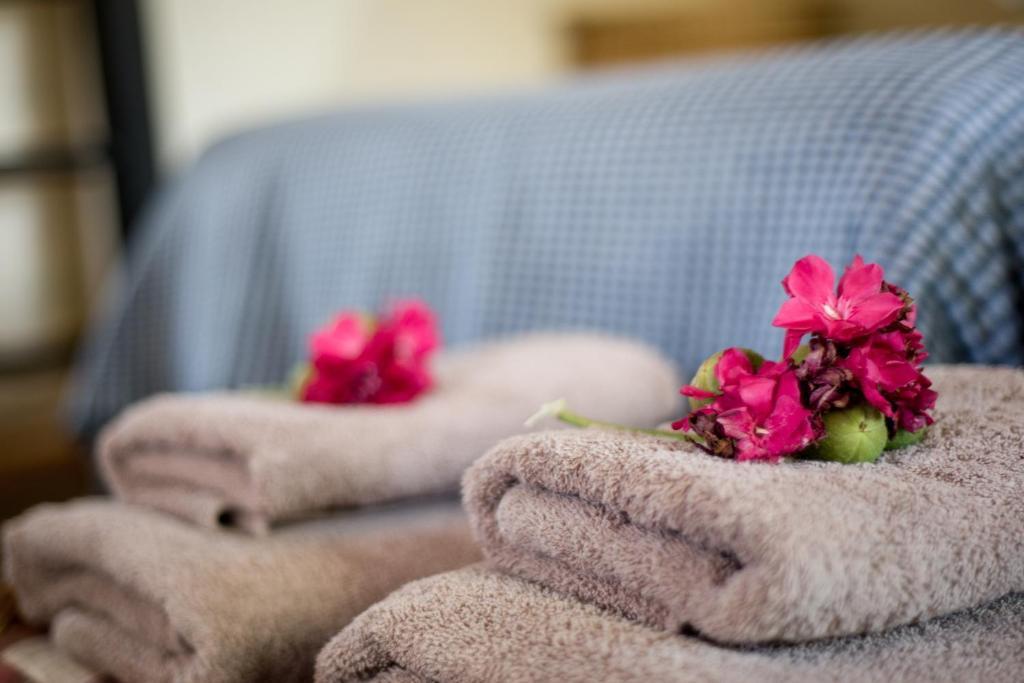 Etusis Lodge Usakos Rom bilde